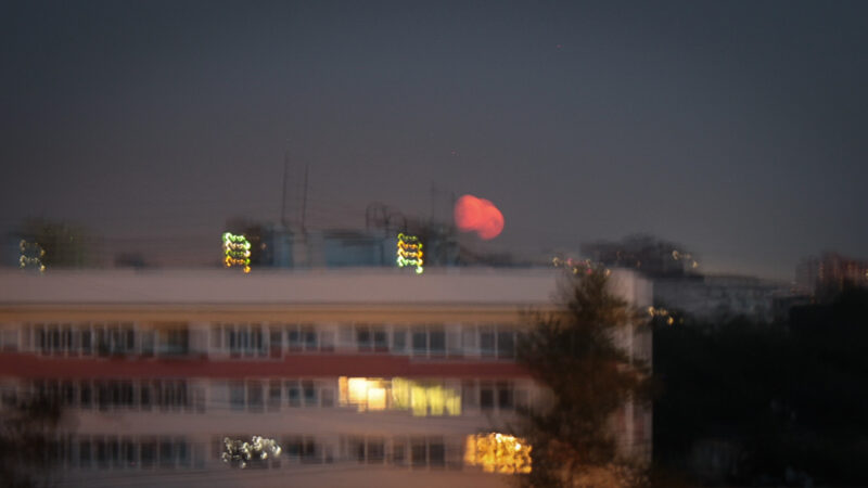piter-luna-03